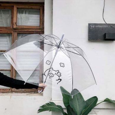 Большие силиконовые прозрачные зонты трость с рисунком