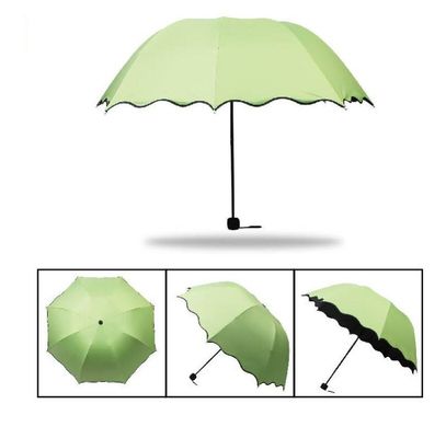 Красивые складные зонты, разные цвета