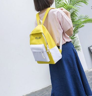 Модные яркие рюкзаки с вышивкой цвета